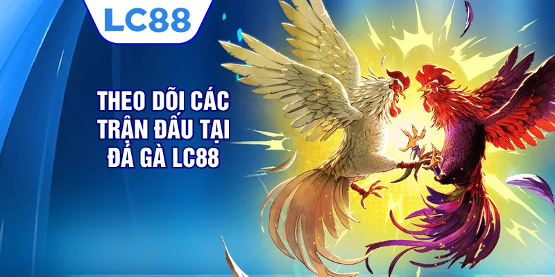 Theo dõi các trận đấu tại đá gà LC88